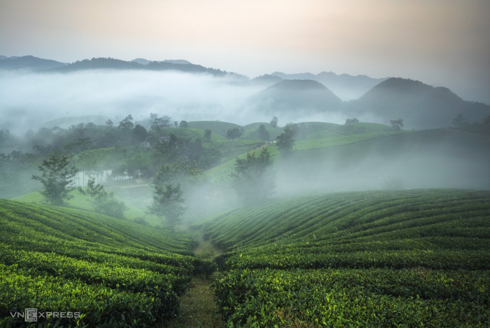 TSTtourist-cam-nang-du-lich-phu-tho-9