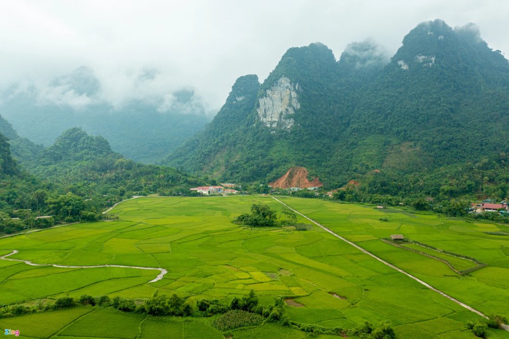 TSTtourist-dap-xe-giua-ruong-lua-thu-lam-banh-trung-kien-cua-nguoi-tay-1