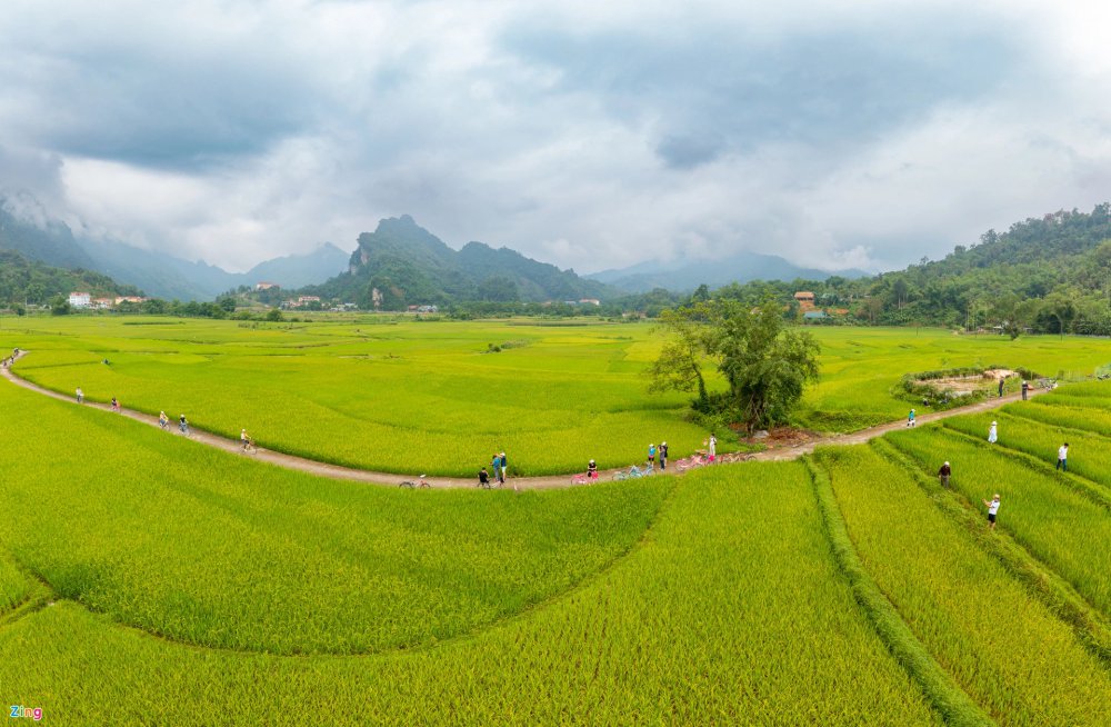 TSTtourist-dap-xe-giua-ruong-lua-thu-lam-banh-trung-kien-cua-nguoi-tay-4