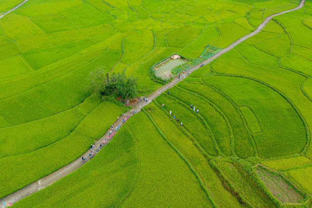 TSTtourist-dap-xe-giua-ruong-lua-thu-lam-banh-trung-kien-cua-nguoi-tay-5