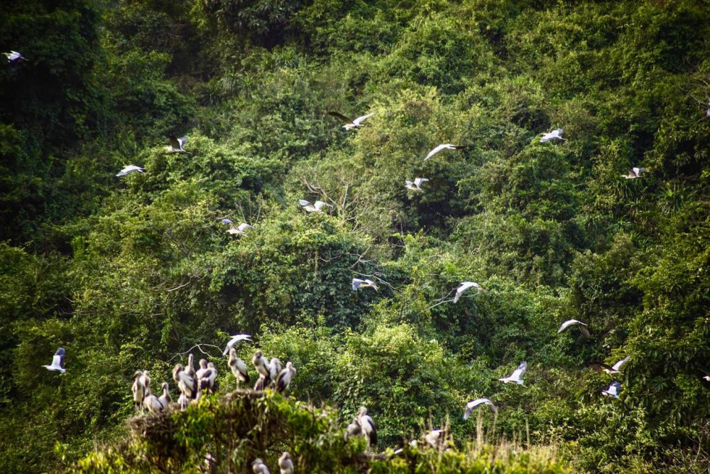 TSTtourist-kham-pha-mon-ngon-canh-dep-cua-manh-dat-co-do-ninh-binh-13