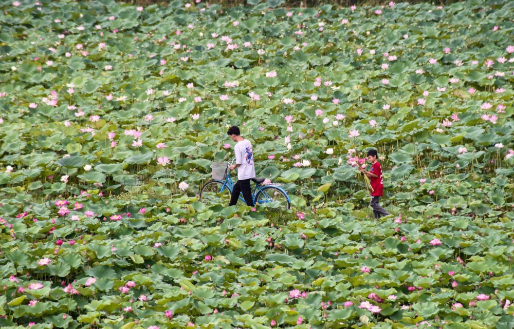 TSTtourist-kham-pha-mon-ngon-canh-dep-cua-manh-dat-co-do-ninh-binh-3