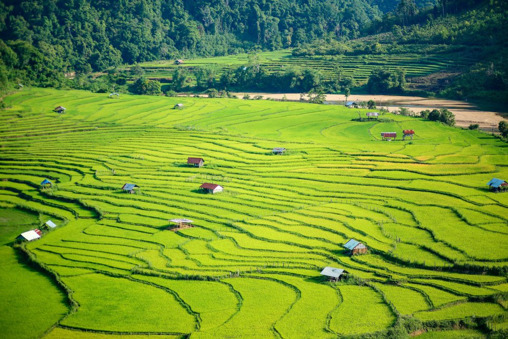 TSTtourist-mang-den-hoang-so-not-nhac-tram-lang-giua-nui-rung-tay-nguyen-14