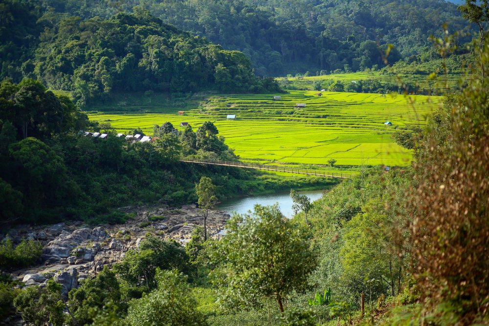 TSTtourist-mang-den-hoang-so-not-nhac-tram-lang-giua-nui-rung-tay-nguyen-3