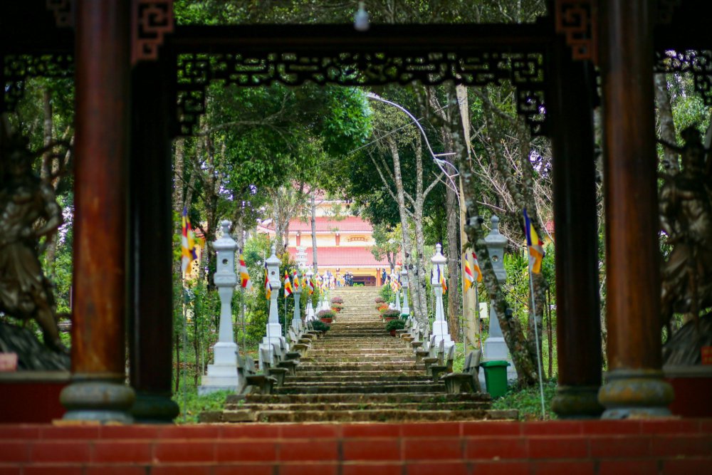 TSTtourist-mang-den-hoang-so-not-nhac-tram-lang-giua-nui-rung-tay-nguyen-8