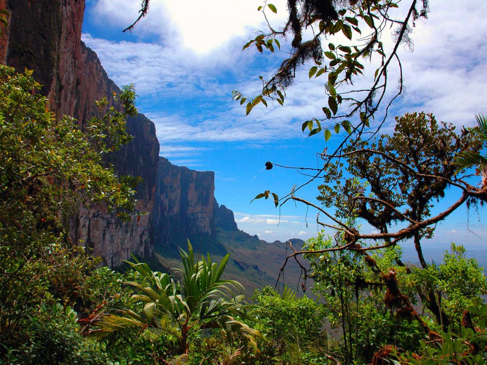 TSTtourist-ngon-nui-ky-la-nhu-hon-dao-giua-bien-may-14