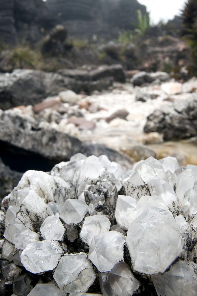 TSTtourist-ngon-nui-ky-la-nhu-hon-dao-giua-bien-may-18