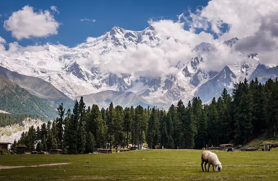 TSTtourist-ve-dep-tren-duong-leo-himalaya-6