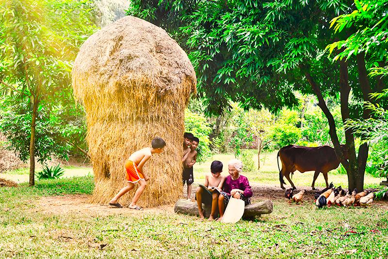 Những khoảnh khắc làng quê bình yên ở ngoại thành Hà Nội