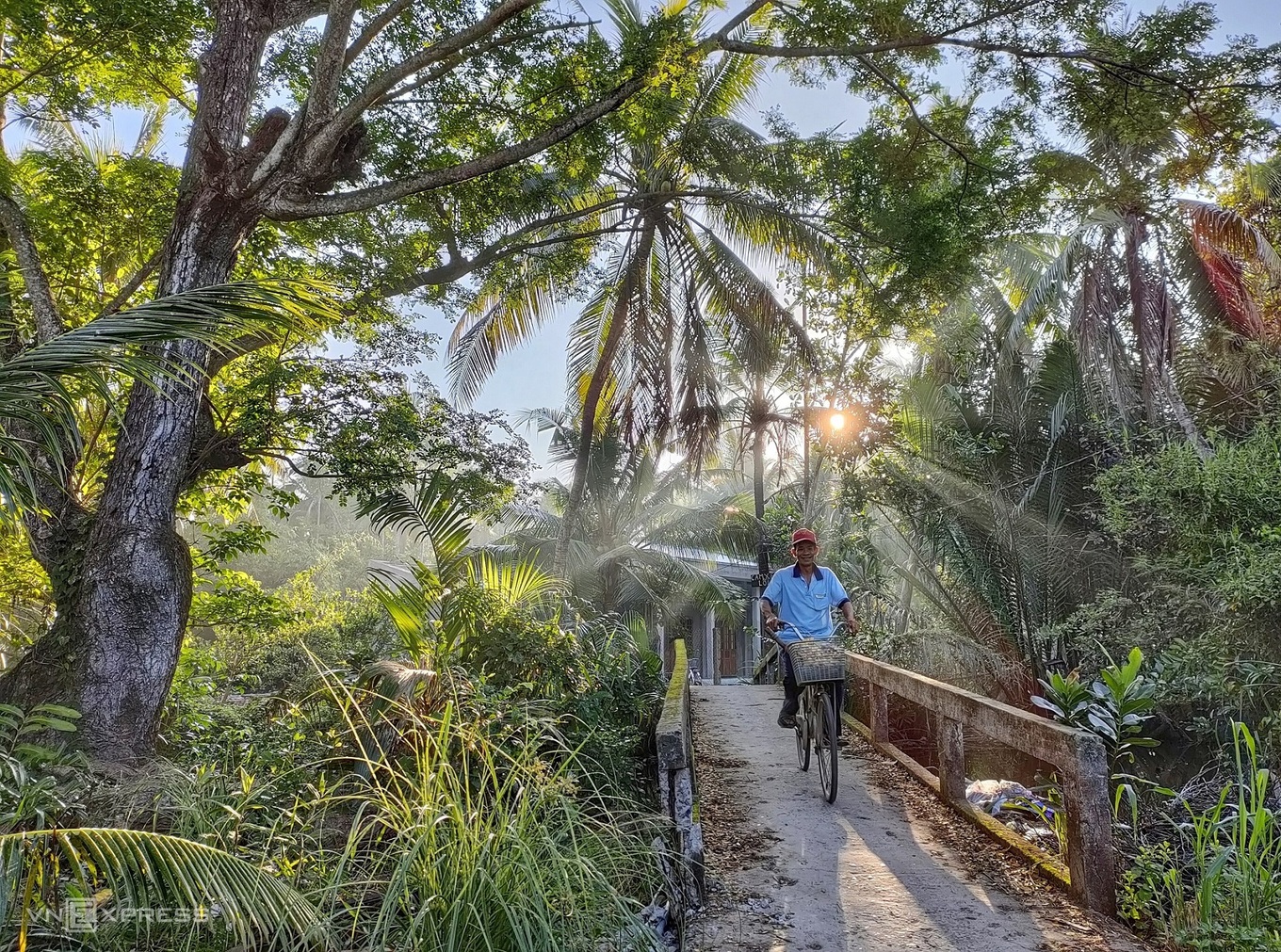 TSTtourist-xu-dua-ben-tre-yen-binh-3