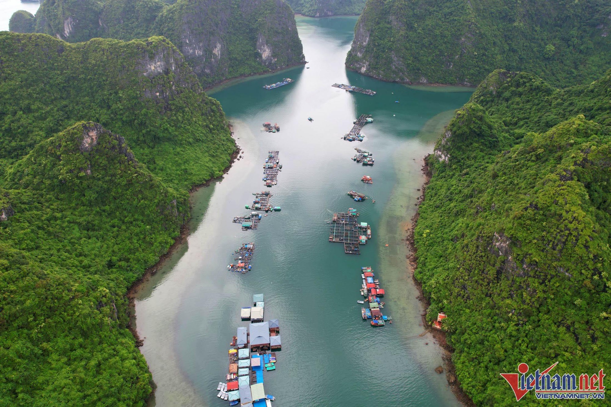 Cảnh bình yên ở làng chài cổ 'đẹp nhất thế giới' trên vịnh Hạ Long