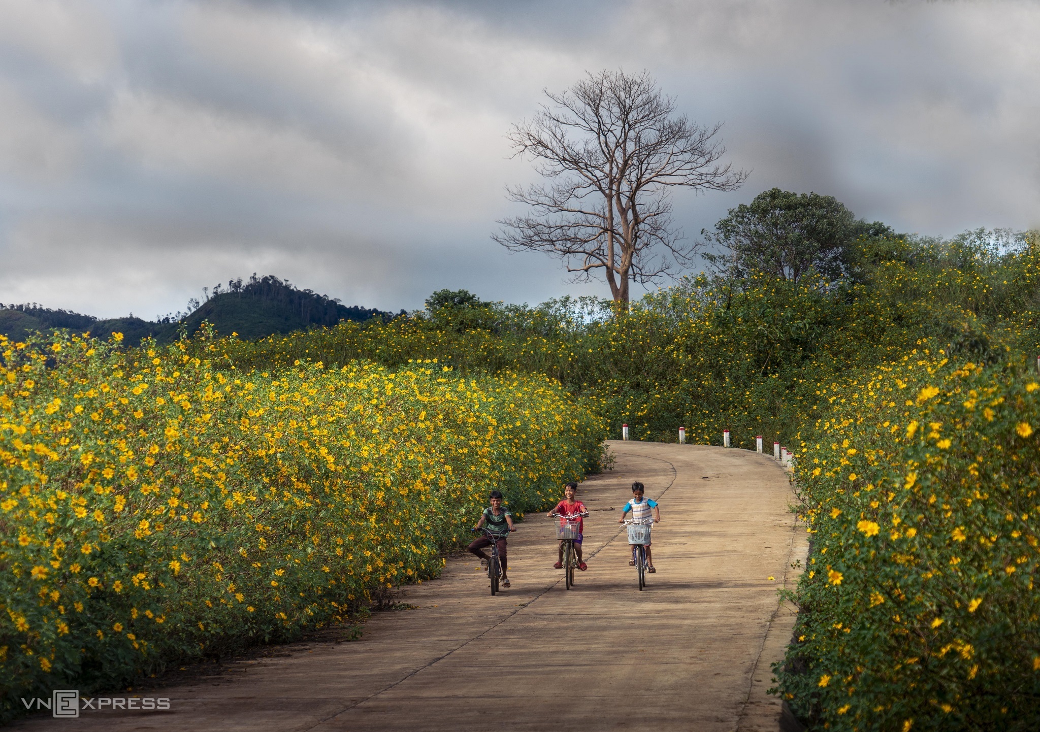 TSTtourist-gia-lai-khong-chi-co-bien-ho-10