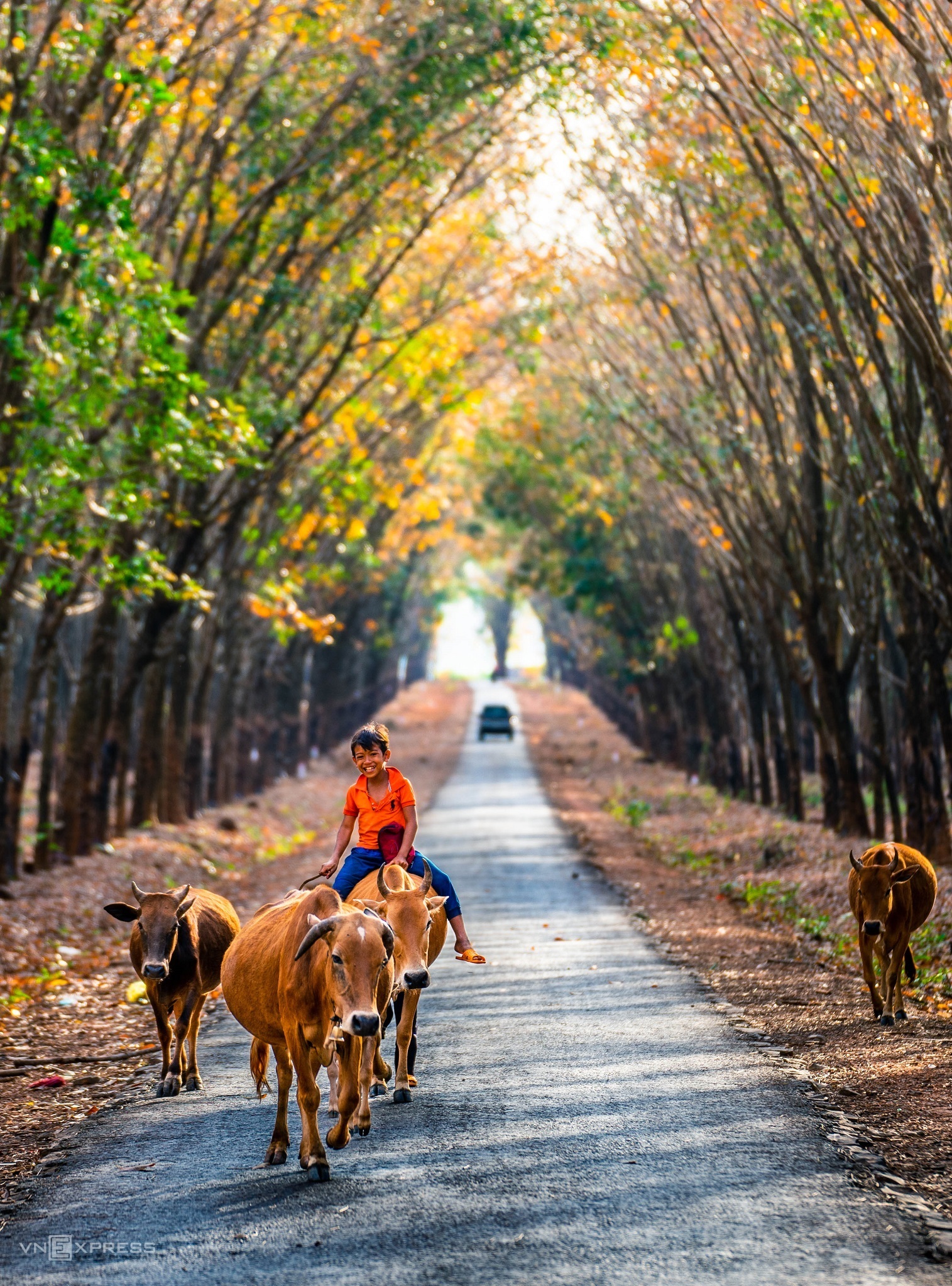 TSTtourist-gia-lai-khong-chi-co-bien-ho-8