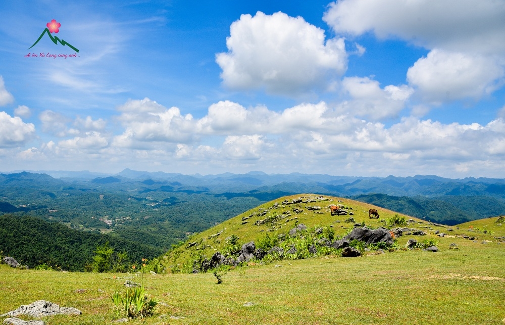 TSTtourist-nui-nang-tien-ve-dep-kieu-diem-giua-may-ngan-xu-lang-2