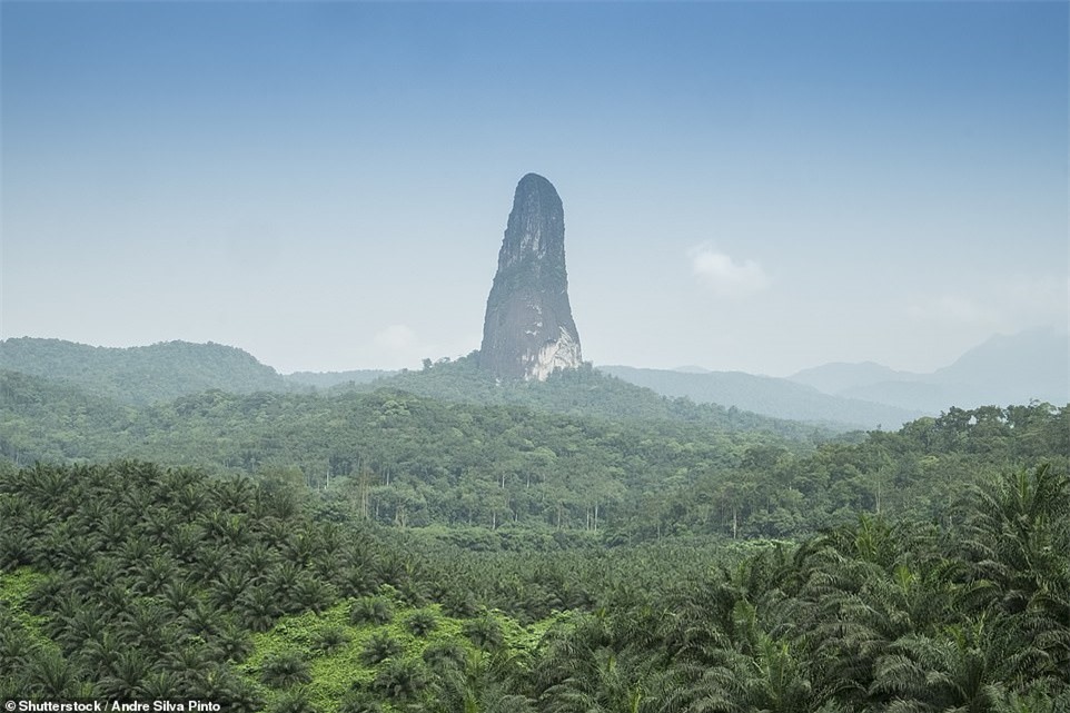 TSTtourist-cay-kim-da-khong-lo-giua-khu-rung-day-ran-o-chau-phi-1