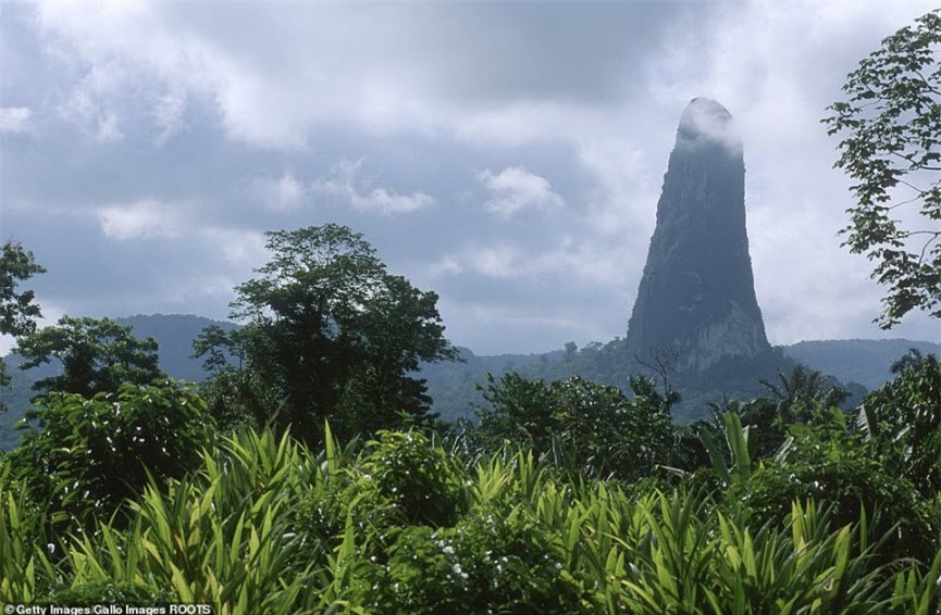 TSTtourist-cay-kim-da-khong-lo-giua-khu-rung-day-ran-o-chau-phi-3