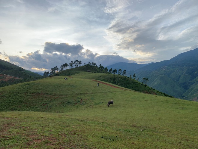 TSTtourist-di-du-lich-3-ngay-chang-trai-bat-ngo-bi-ket-o-ta-xua-hon-nua-thang-vi-dich-6