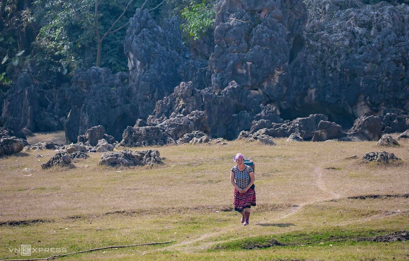 TSTtourist-hang-tau-nguyen-thuy-o-moc-chau-7