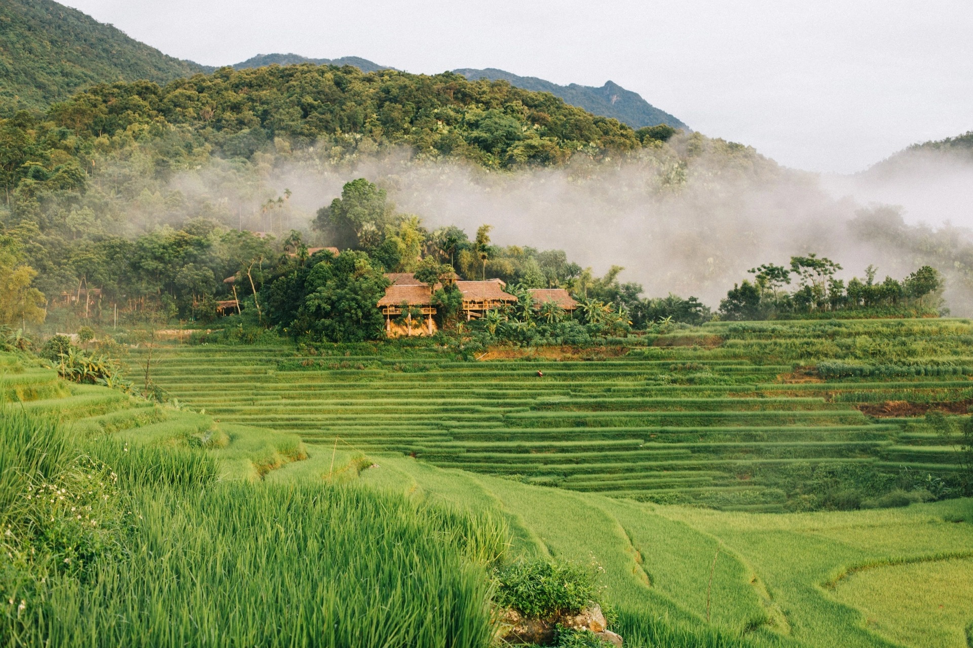 3 trải nghiệm trốn nắng hè ở Pù Luông