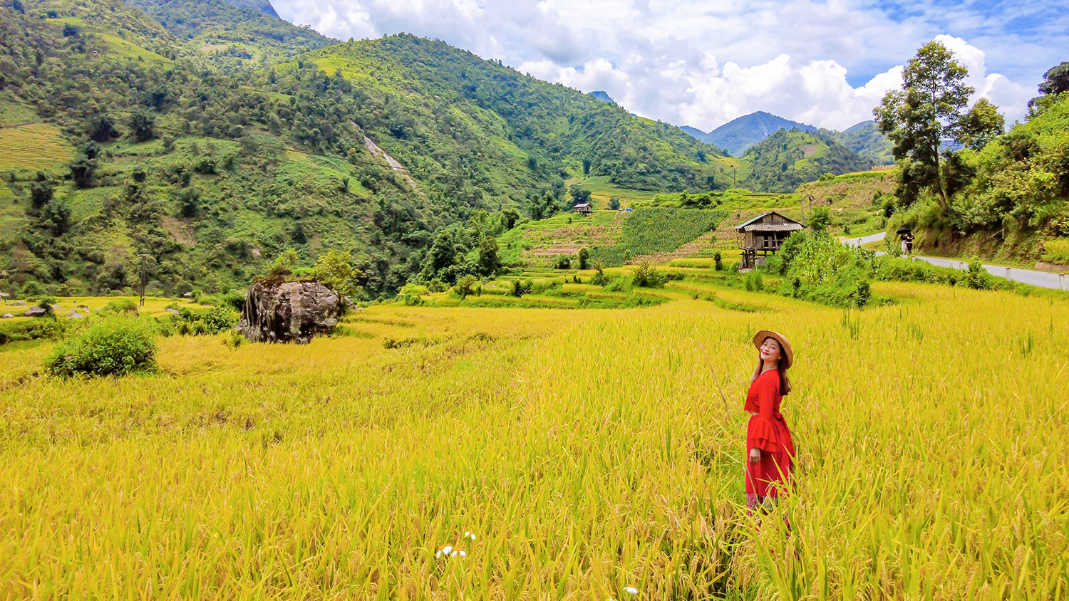 Săn lúa chín ở Nậm Cang