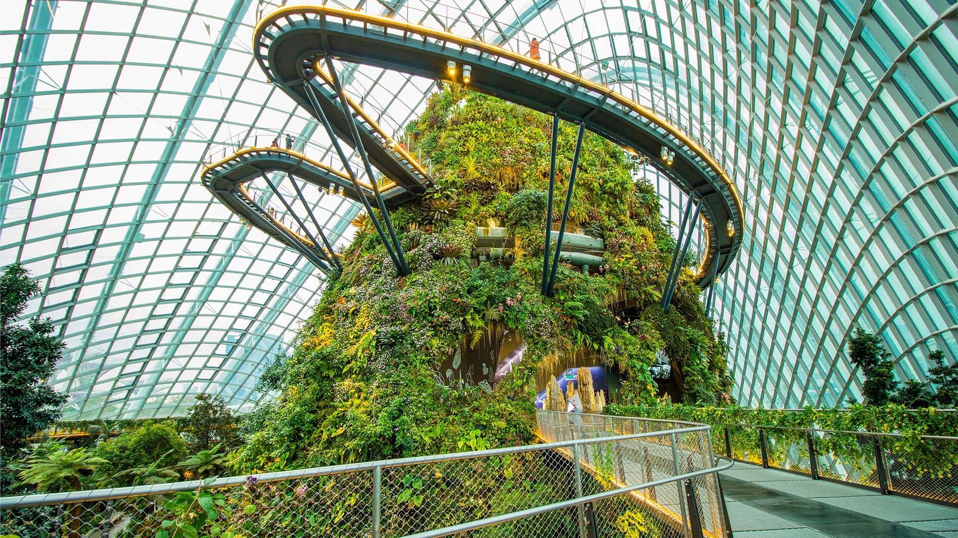 Không gian ấn tượng của Cloud Forest