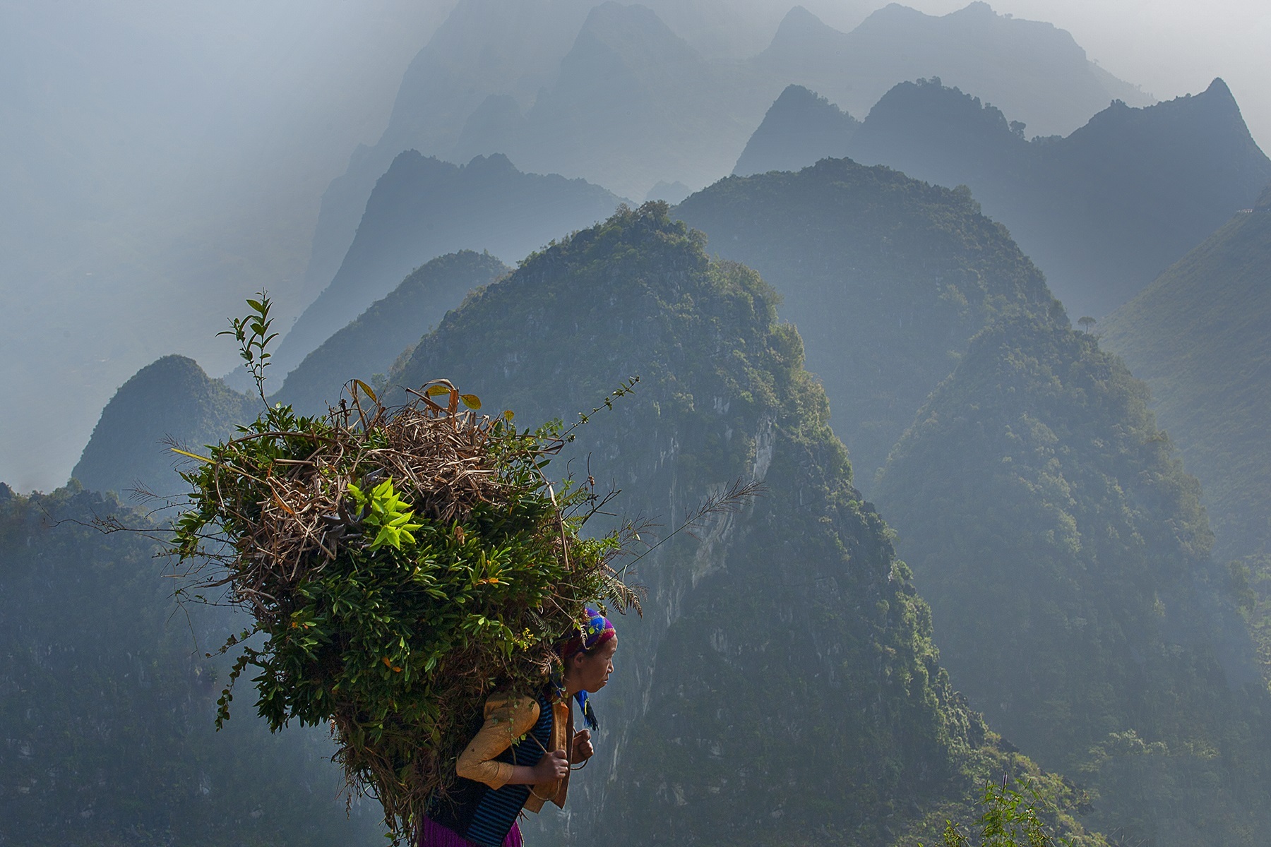 TSTtourist-nghe-si-tre-doat-nhieu-giai-quoc-te-voi-anh-vung-cao-5