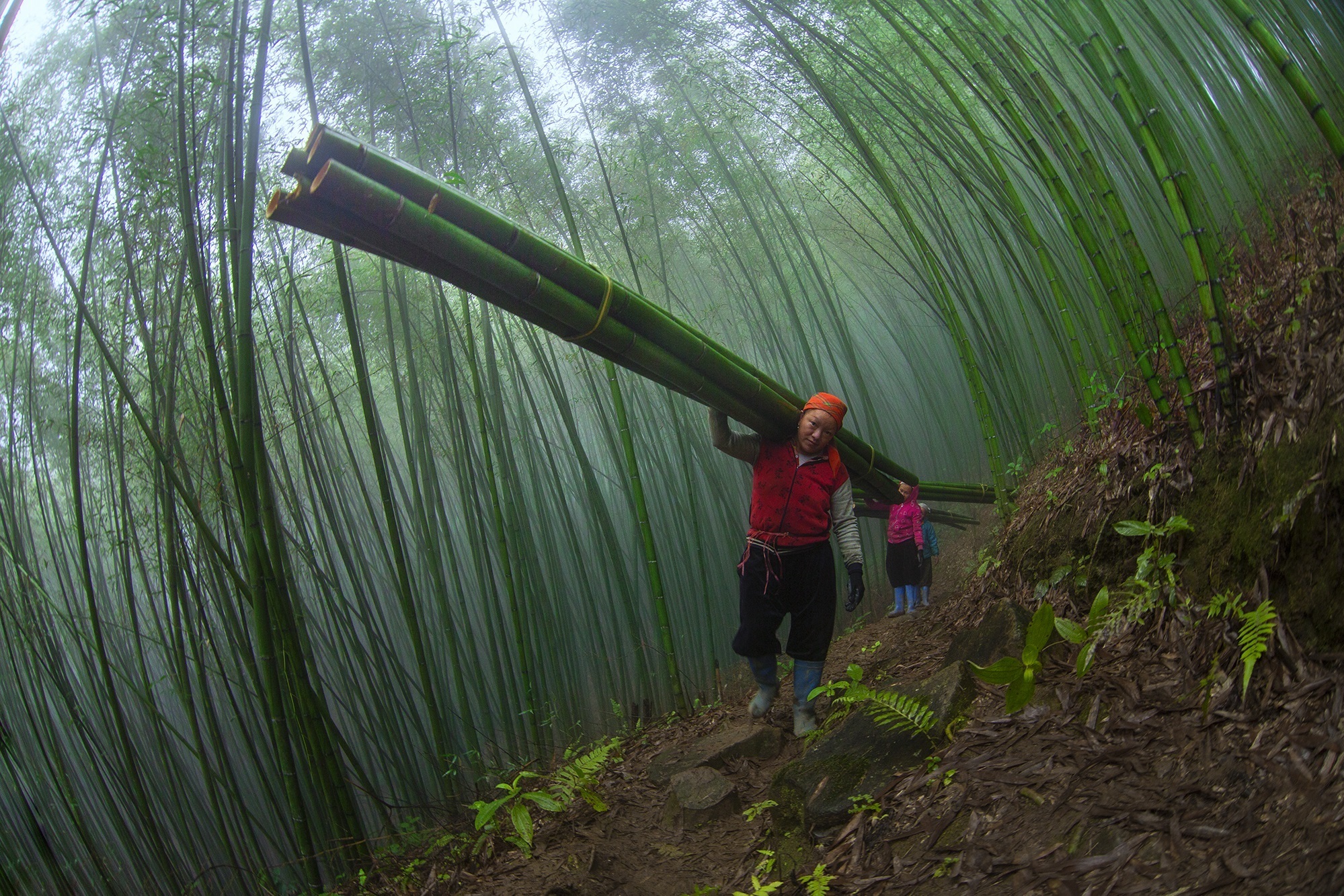 TSTtourist-nghe-si-tre-doat-nhieu-giai-quoc-te-voi-anh-vung-cao-6