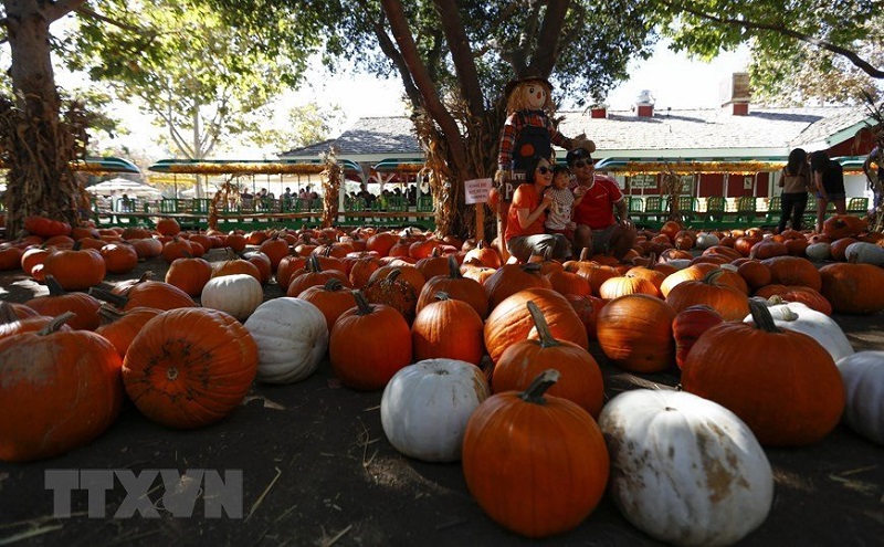 nhieu-quoc-gia-tung-bung-don-Halloween-4