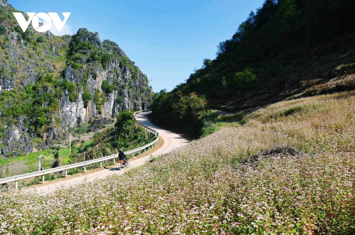 Loạt tour du lịch tháng 10, tháng 11 sẵn sàng nhận khách