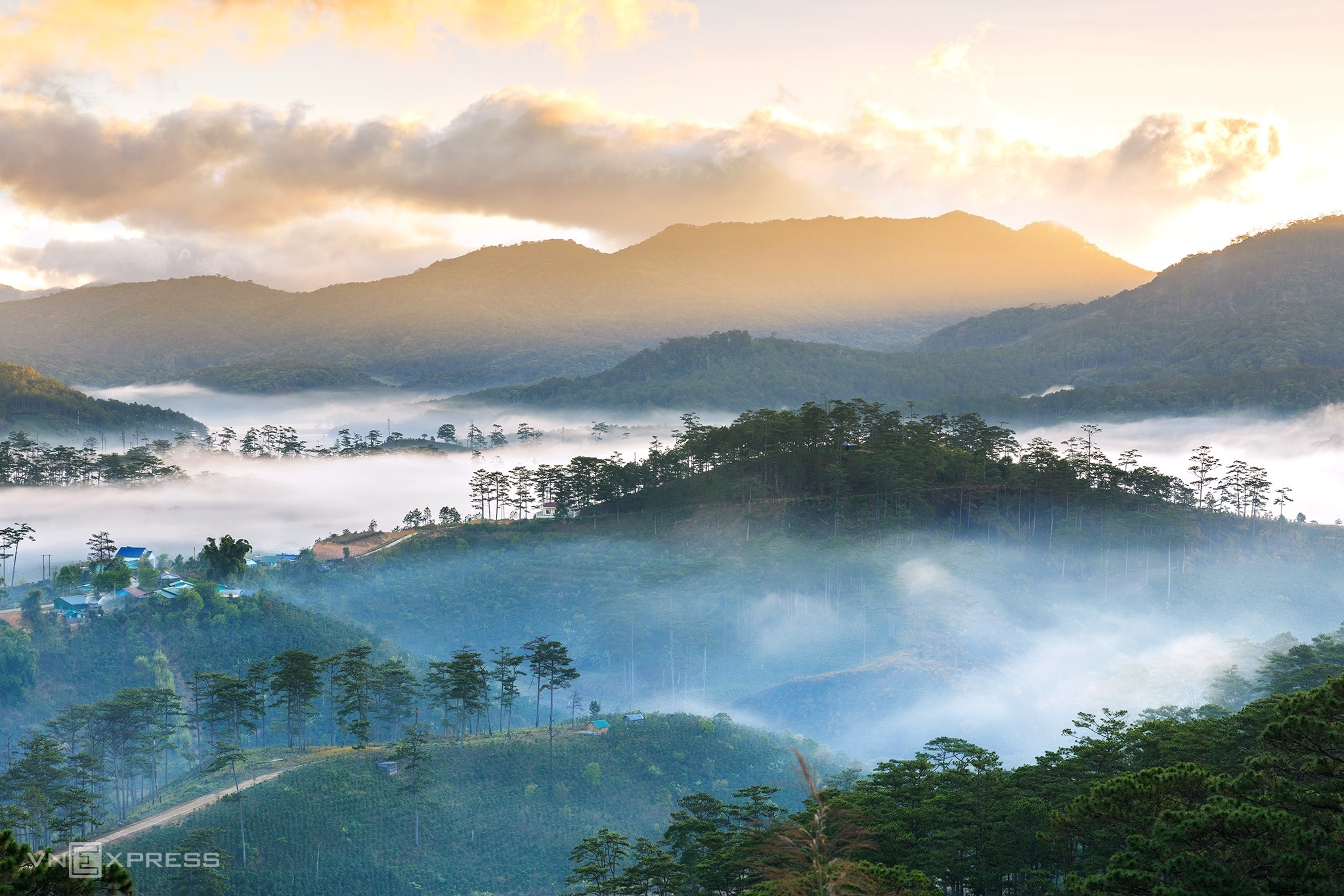 Du lịch săn chim lạ ở Đà Lạt