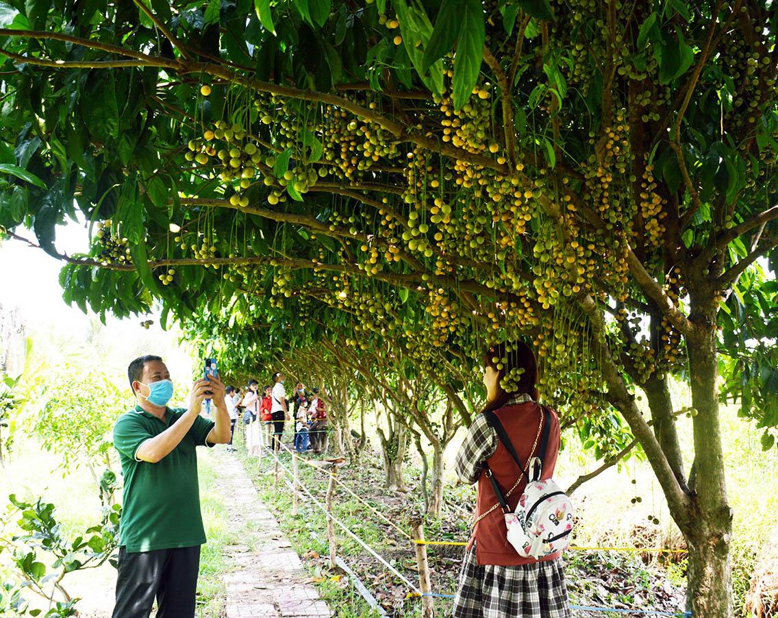 TSTtourist-kich-thich-phuc-hoi-hoat-dong-du-lich-ca-mau-1