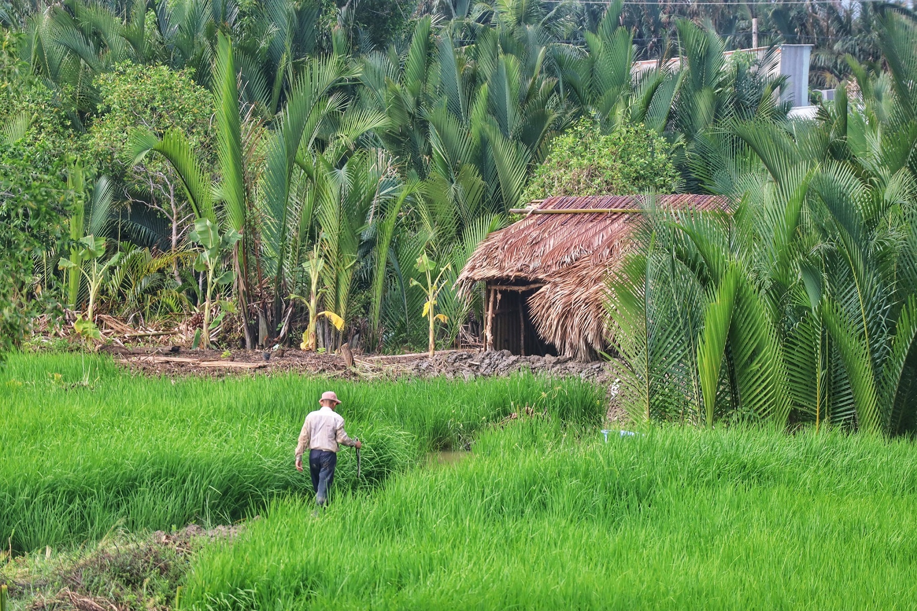 Một ngày khám phá ấp làm muối ở ngoại ô TP HCM