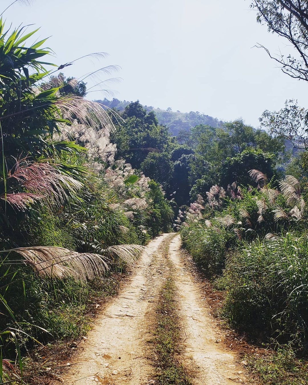 TSTtourist-thien-duong-co-lau-cach-trung-tam-ha-noi-40-km-3