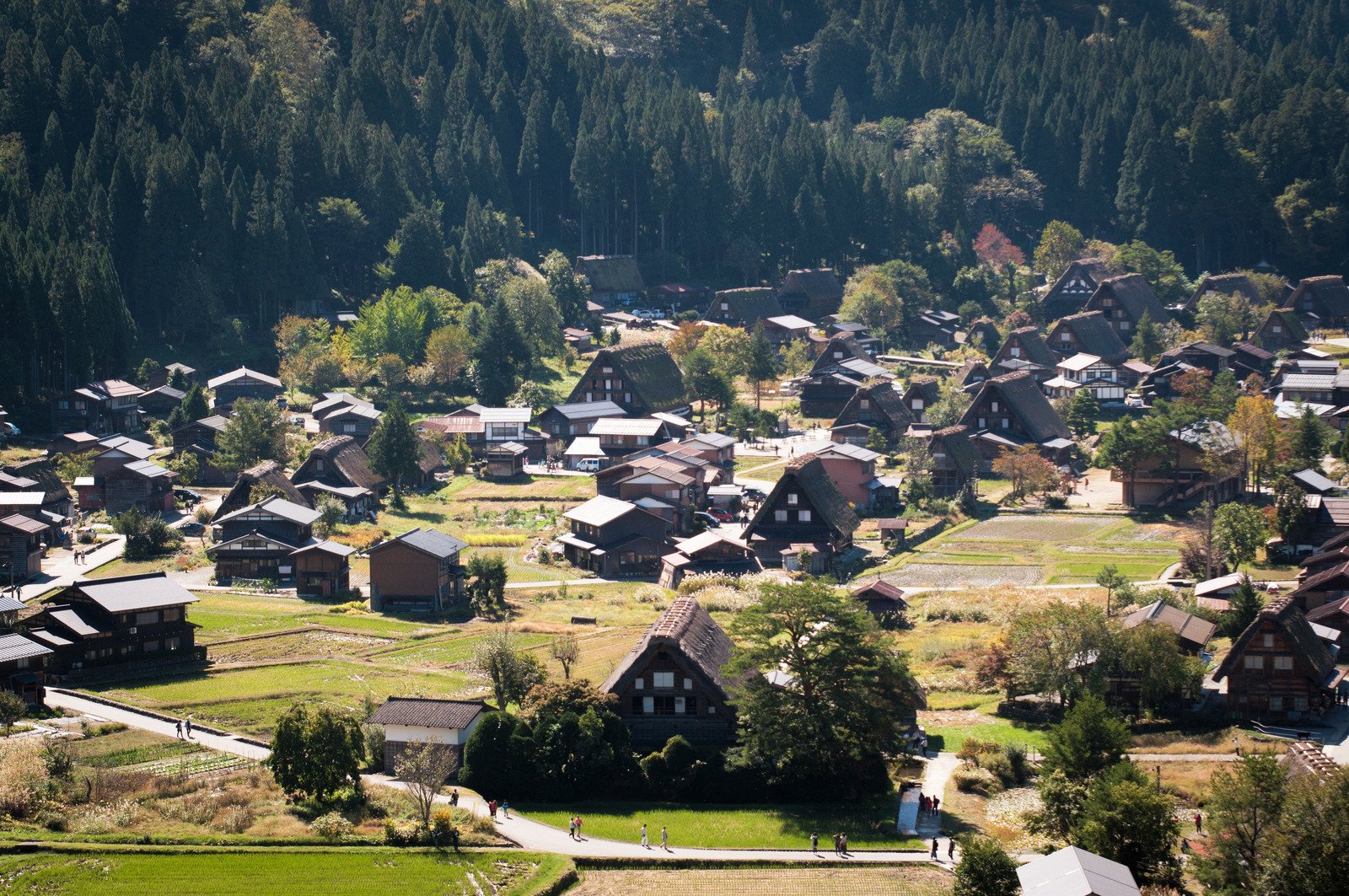 Làng cổ Shirakawa-go