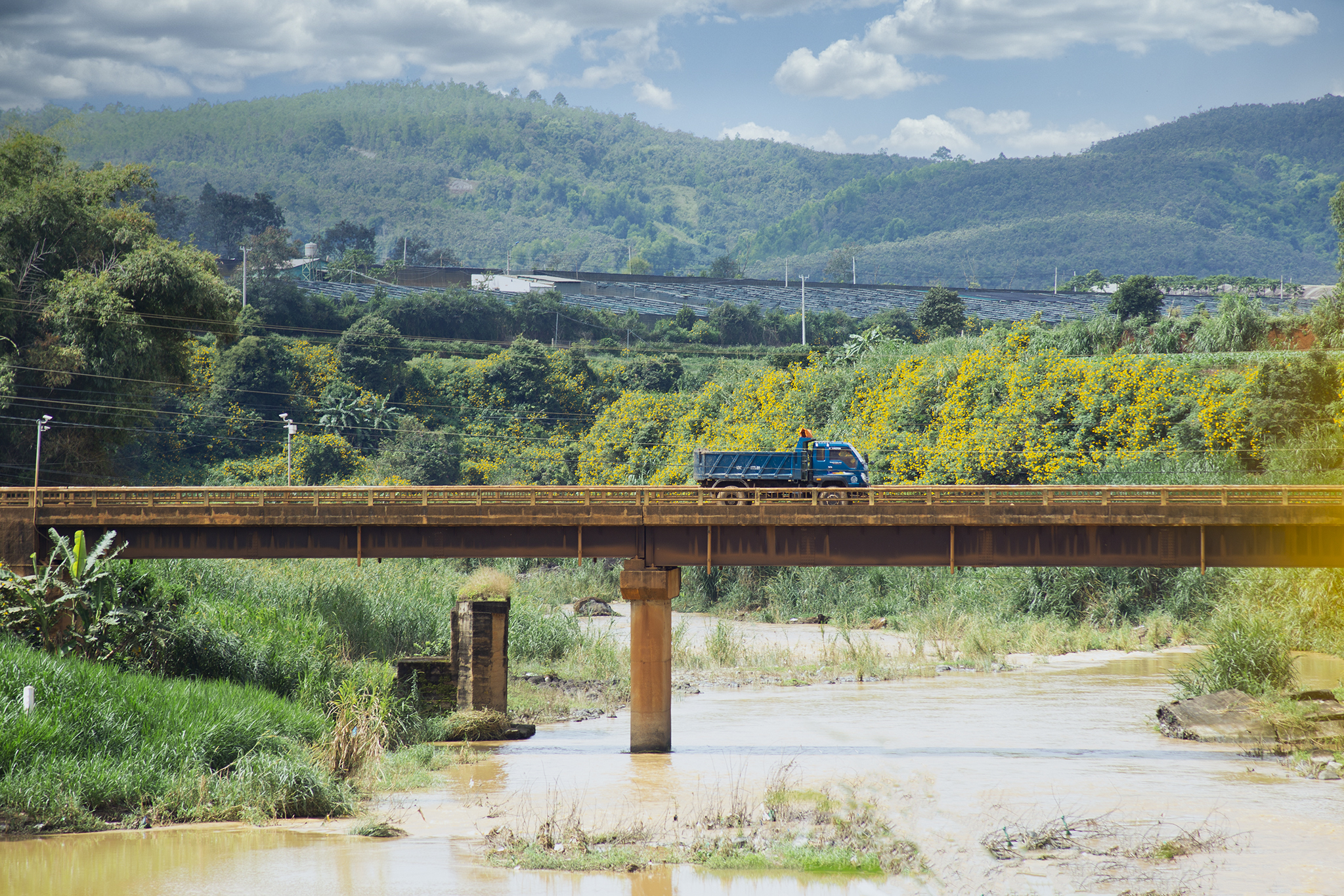 TSTtourist-da-quy-no-vang-o-ngoai-thanh-da-lat-4