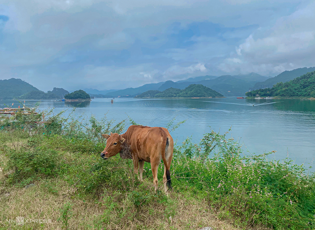 TSTtourist-mot-ngay-vi-vu-thanh-pho-hoa-binh-1