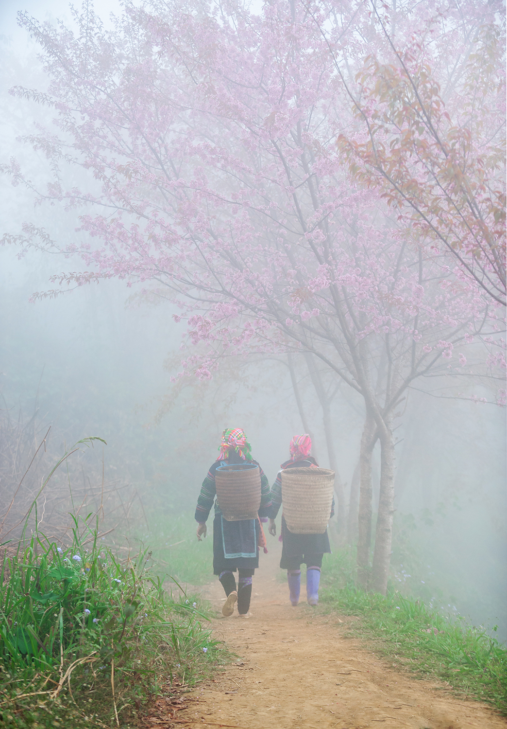 TSTtourist-nguoi-dam-me-mua-dong-sa-pa-11