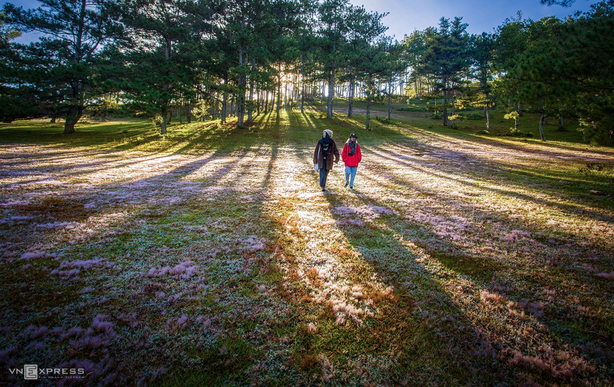 TSTtourist-nhung-luu-y-khi-du-lich-da-lat-sau-gian-cach-1