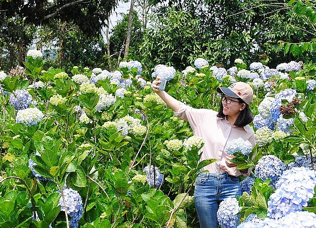 TSTtourist-vinh-thanh-mien-dat-hua-cua-du-lich-binh-dinh-2