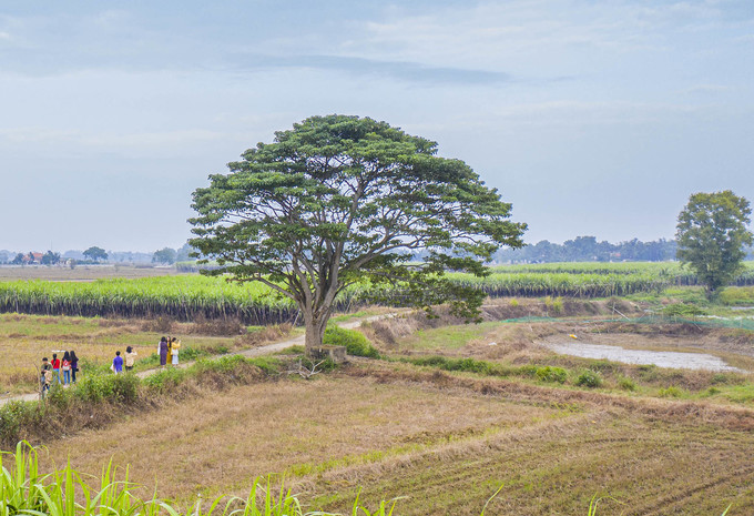 Khám phá những nơi lên phim Mắt biếc