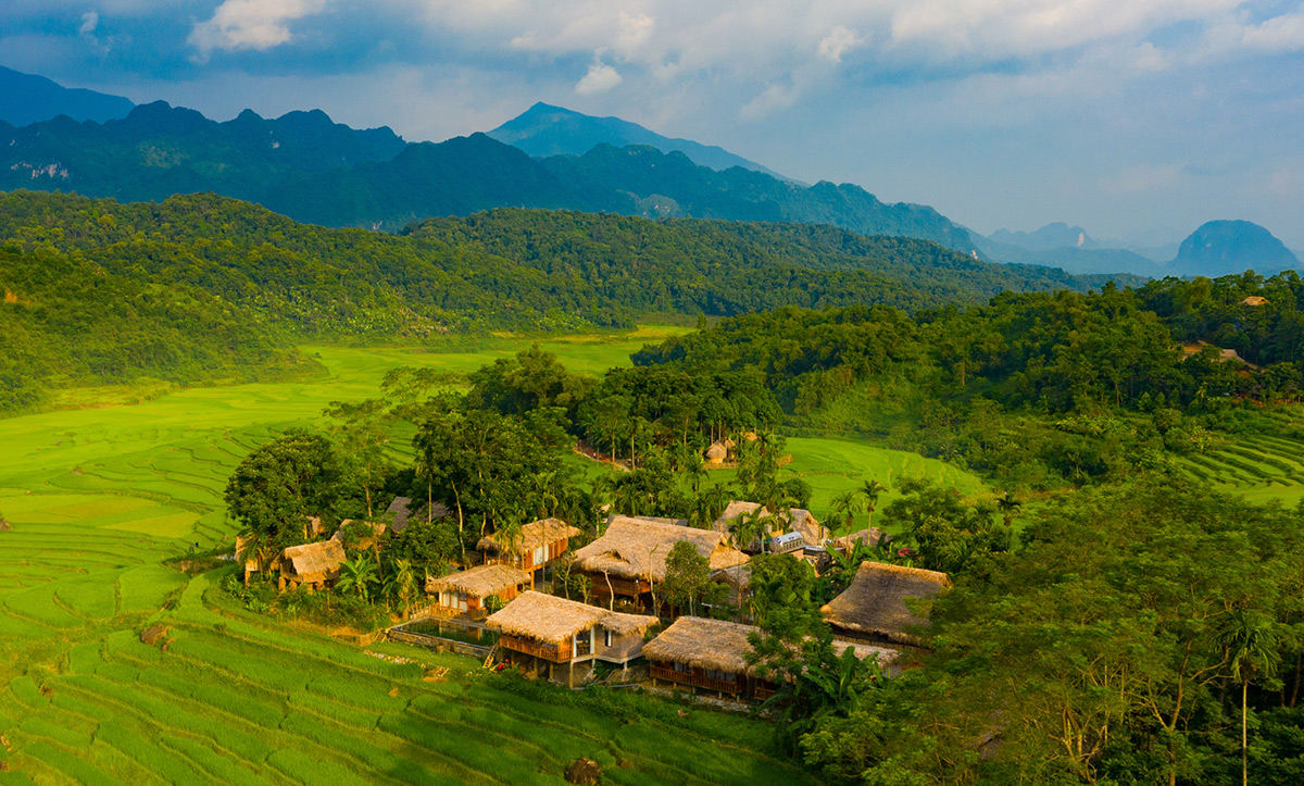 COMBO PULUONG NATURA 4 sao - Thanh Hoá