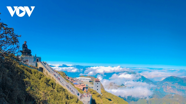 Lên Sa Pa săn mây, ngắm hoa anh đào