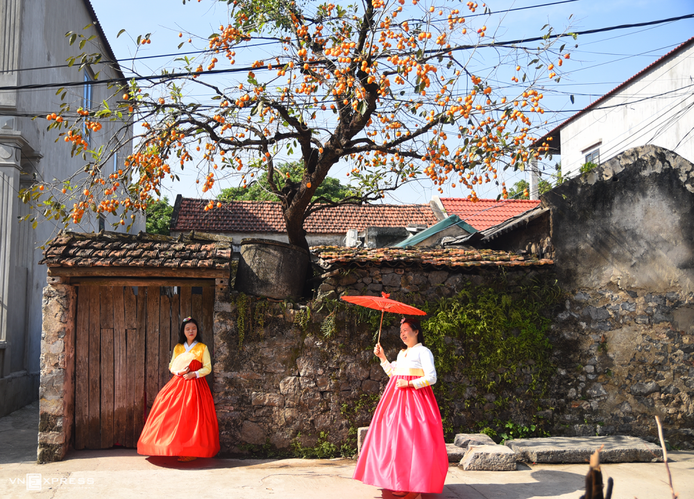 TSTtourist-cay-hong-co-vo-danh-o-ninh-binh-hut-du-khach-11