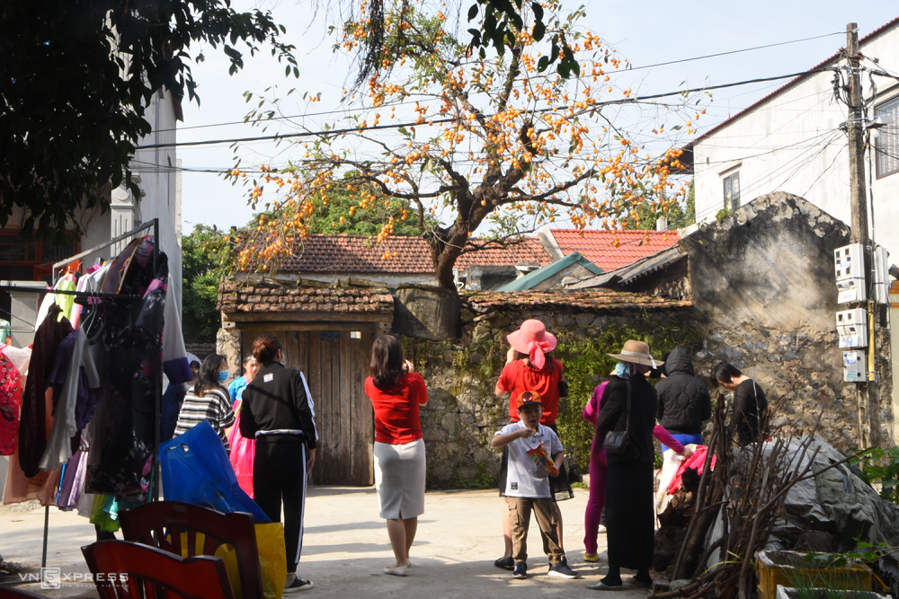 TSTtourist-cay-hong-co-vo-danh-o-ninh-binh-hut-du-khach-4