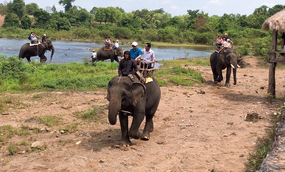 Đắk Lắk sẽ bỏ loại hình du lịch cưỡi voi