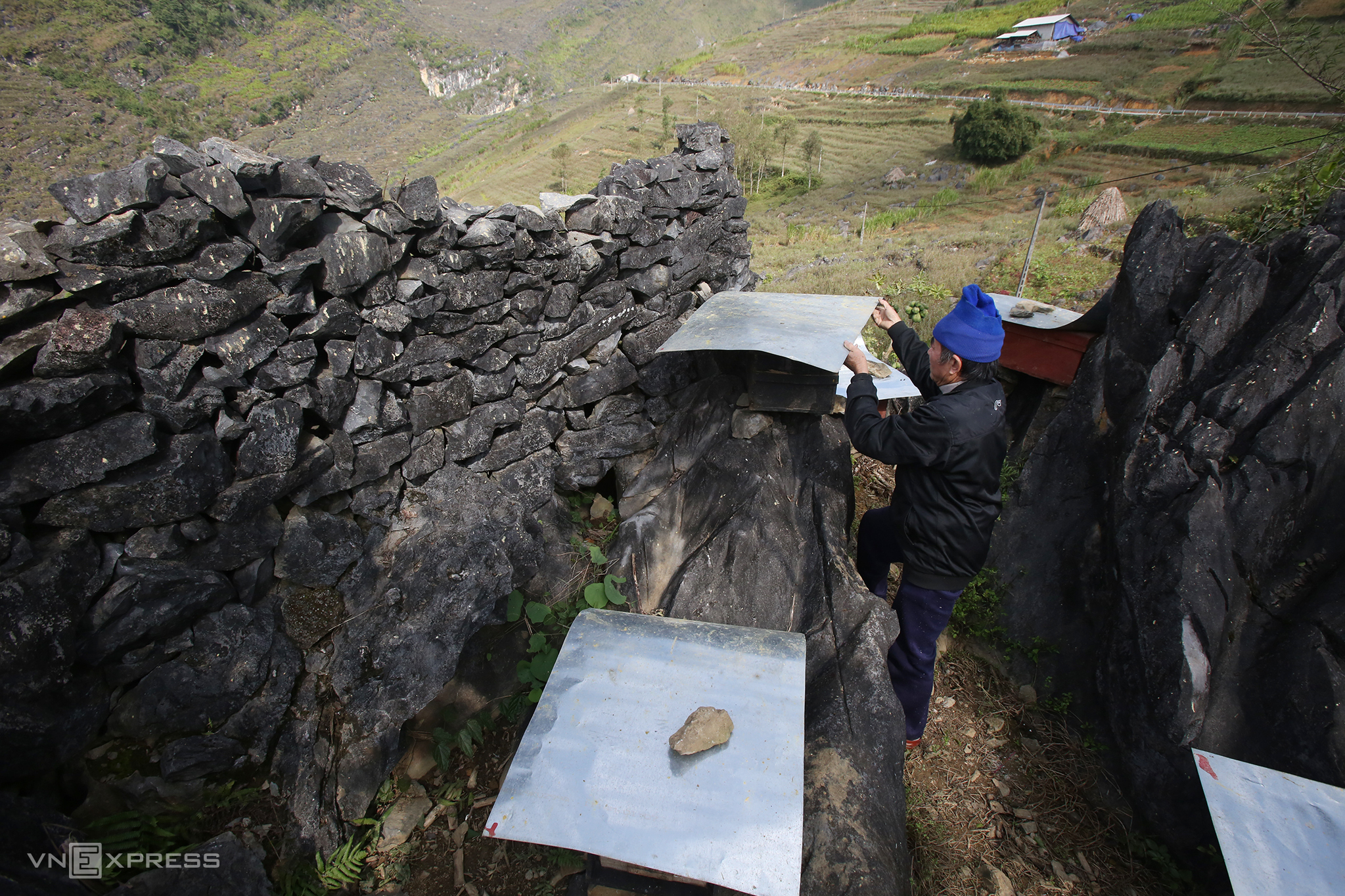 TSTtourist-mua-mat-ong-bac-ha-o-ha-giang-4