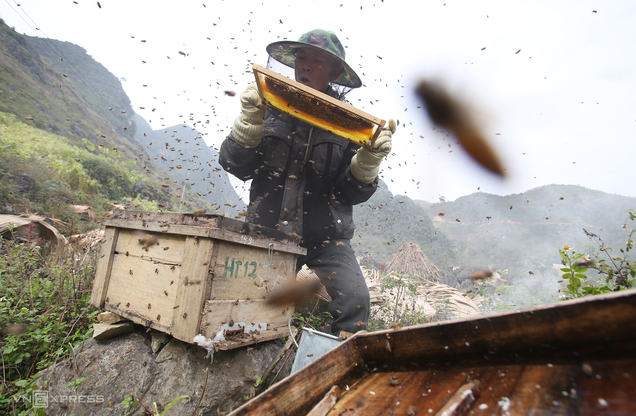 TSTtourist-mua-mat-ong-bac-ha-o-ha-giang-7