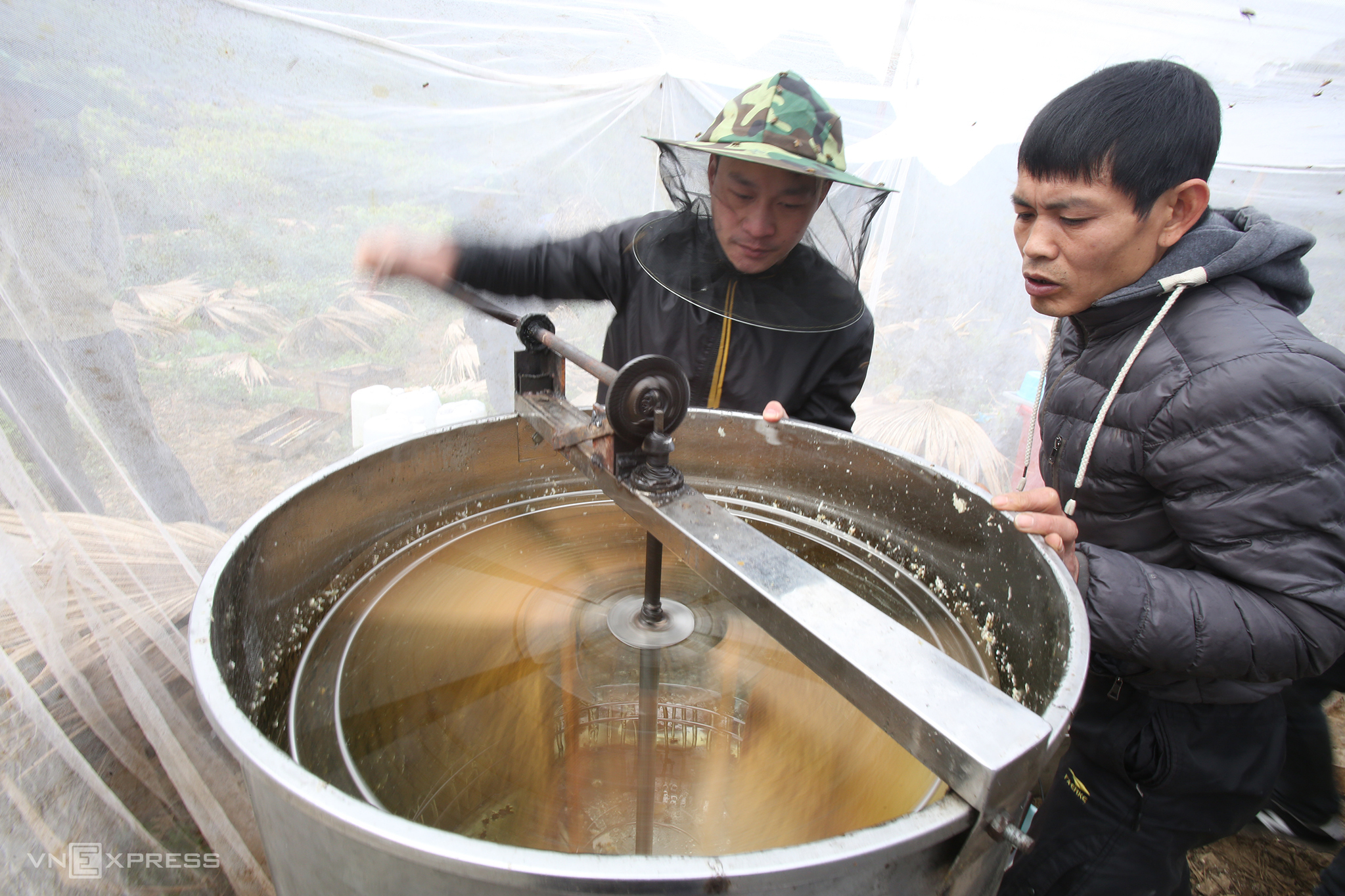 TSTtourist-mua-mat-ong-bac-ha-o-ha-giang-9