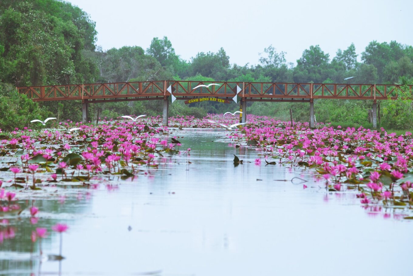 Thư giãn ở 'Cánh đồng bất tận'