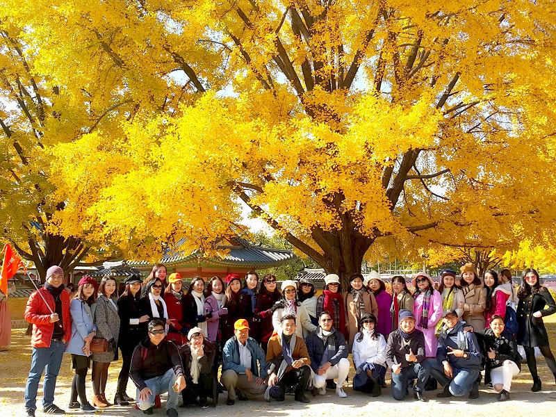 TST tourist tham gia Lễ hội văn hóa & du lịch Việt Nam - Hàn Quốc 2019